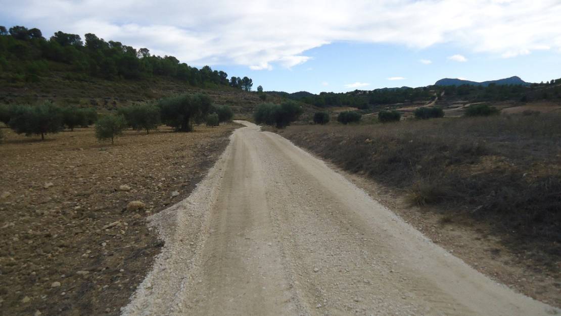 Venta - Land - Jumilla - La Zarza