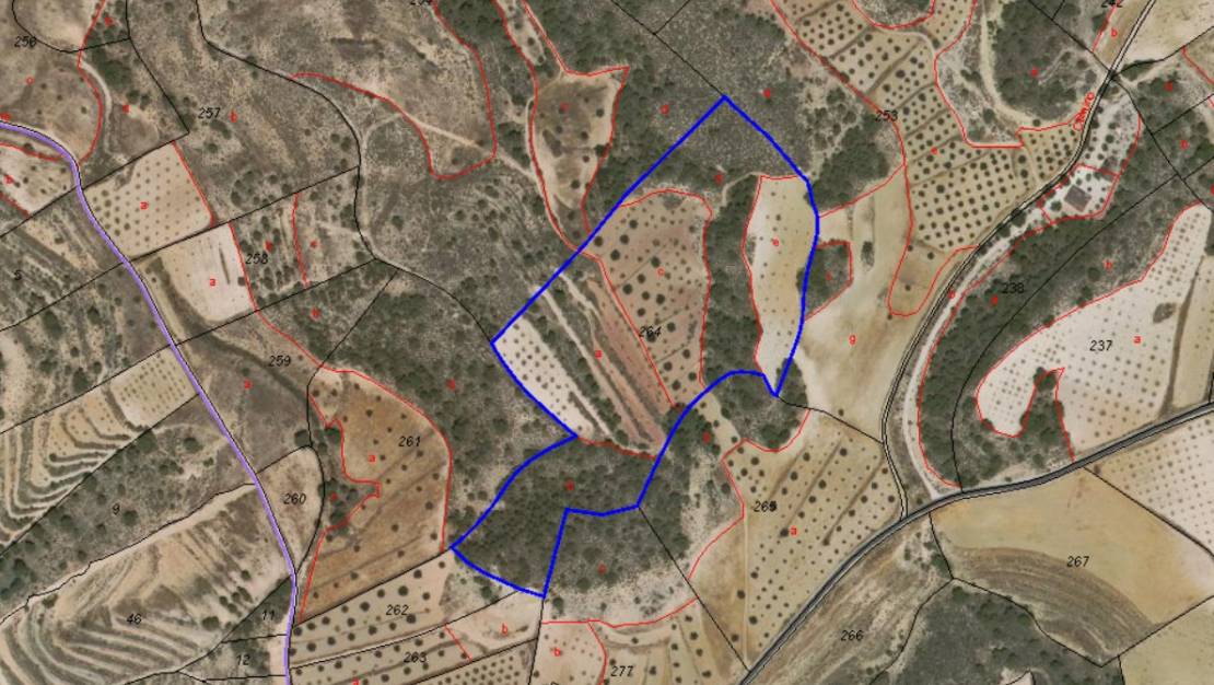 Venta - Land - Jumilla - La Zarza