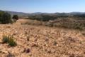 Venta - Land - Jumilla - La Zarza