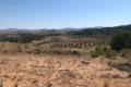 Venta - Land - Jumilla - La Zarza