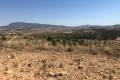 Venta - Land - Jumilla - La Zarza
