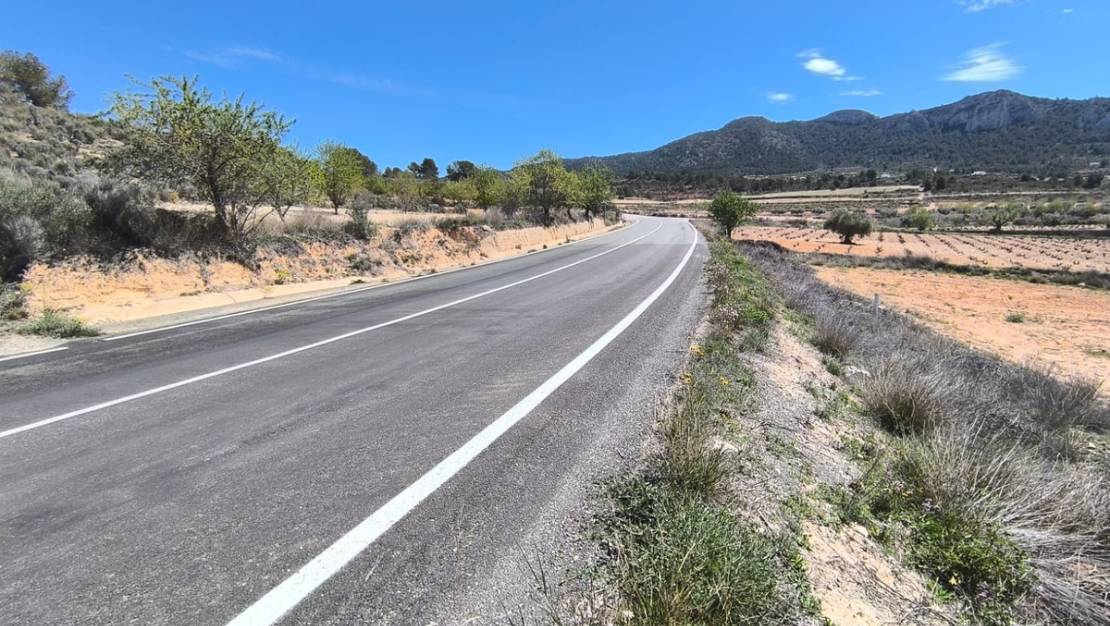 Venta - Land - Jumilla - La Zarza