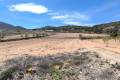 Venta - Land - Jumilla - La Zarza