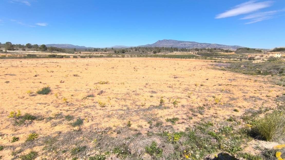 Venta - Land - Jumilla - La Zarza