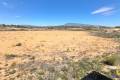 Venta - Land - Jumilla - La Zarza