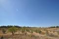 Venta - Land - Jumilla - Torre Del Rico