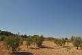 Venta - Land - Jumilla - Torre Del Rico