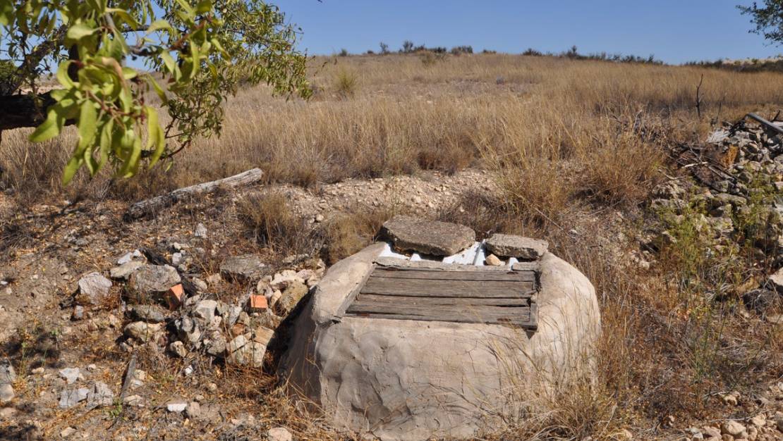 Venta - Land - Jumilla - Torre Del Rico