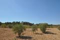 Venta - Land - Jumilla - Torre Del Rico