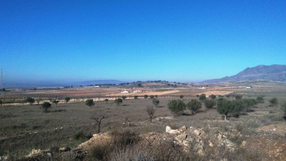 Venta - Land - Jumilla - Torre Del Rico