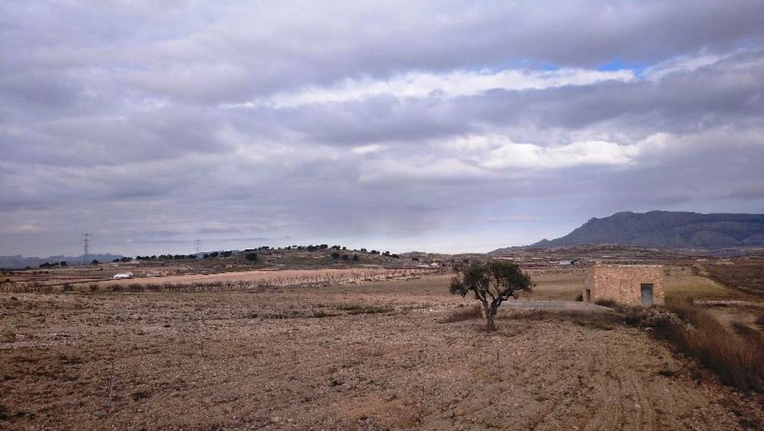 Venta - Land - Jumilla - Torre Del Rico