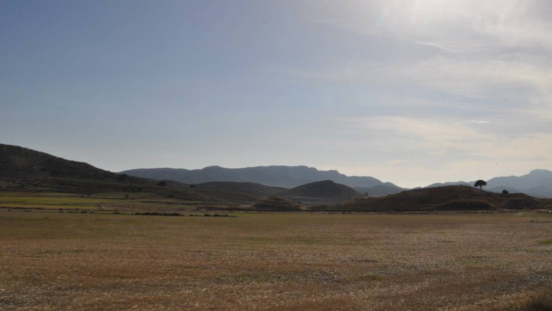 Venta - Land - Jumilla - Torre Del Rico