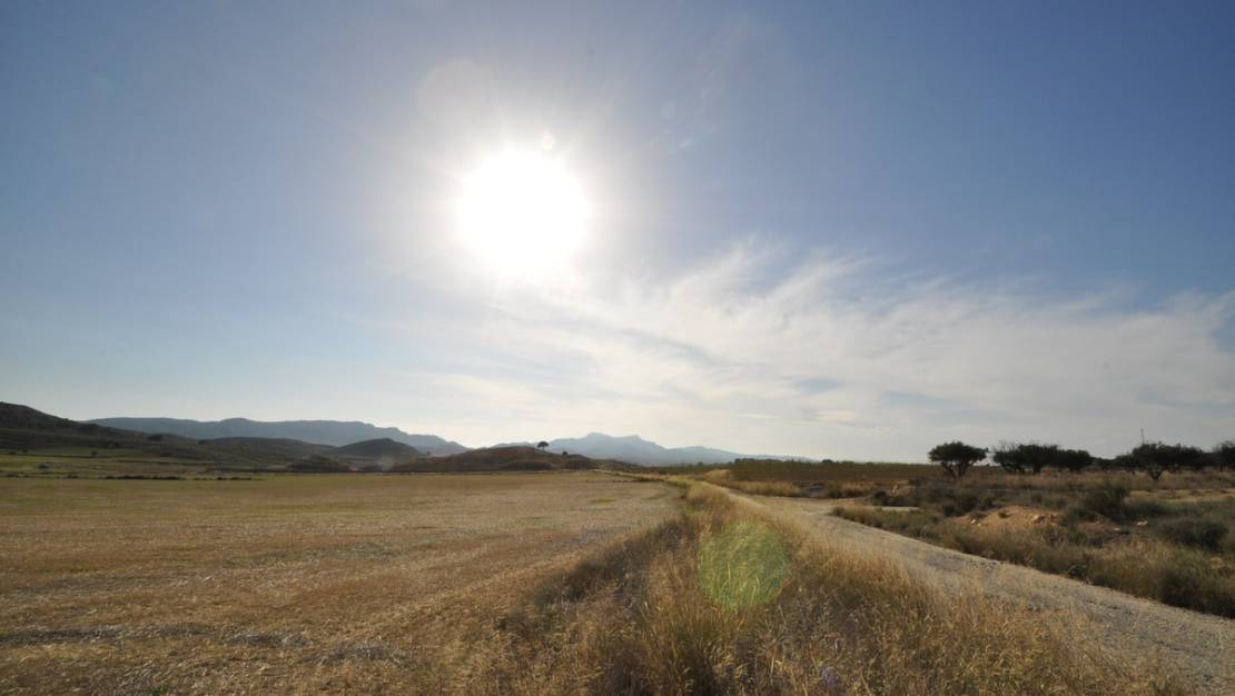 Venta - Land - Jumilla - Torre Del Rico
