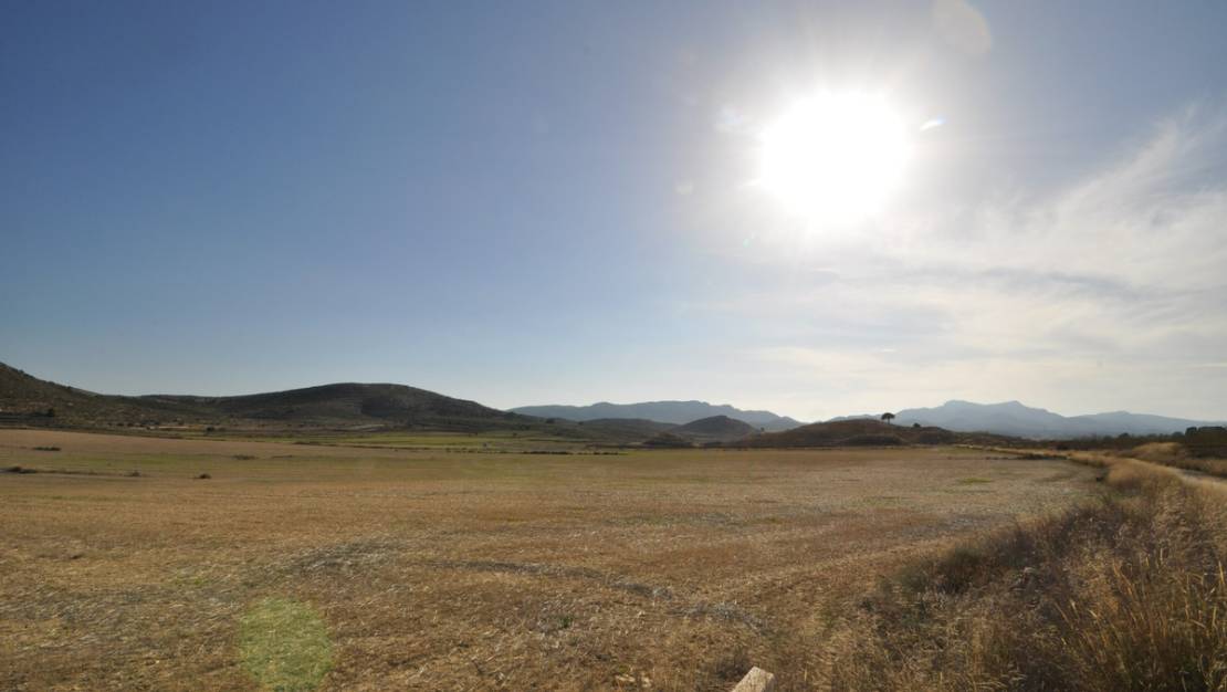 Venta - Land - Jumilla - Torre Del Rico