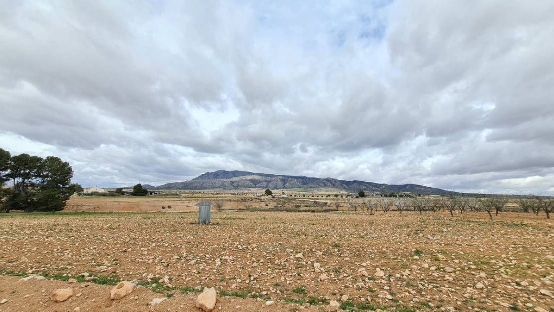 Venta - Land - Jumilla - Torre Del Rico