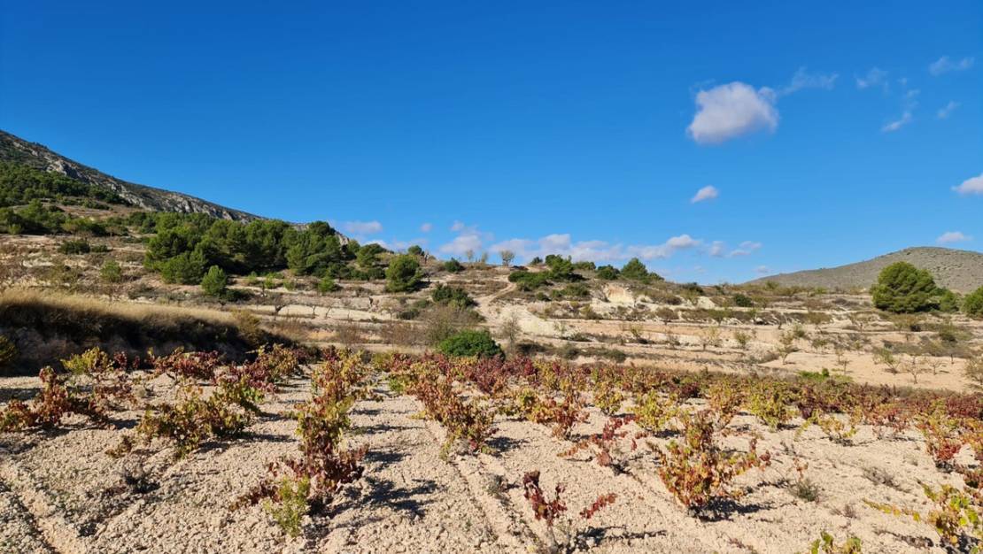 Venta - Land - La Romana - La Romana Centro