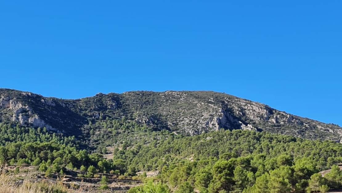 Venta - Land - La Romana - La Romana Centro