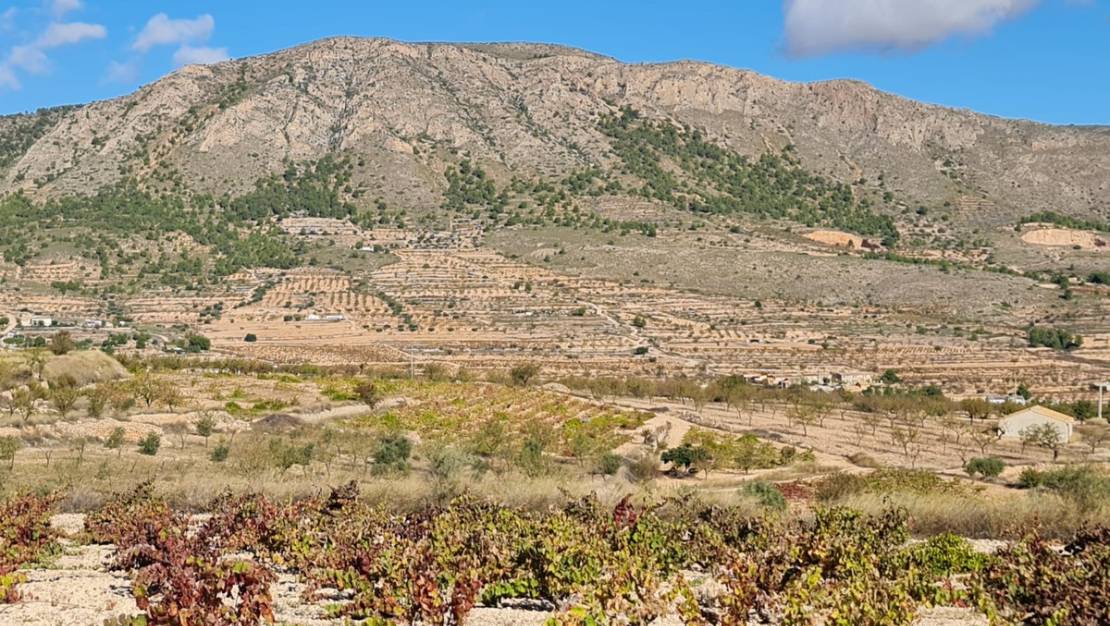 Venta - Land - La Romana - La Romana Centro