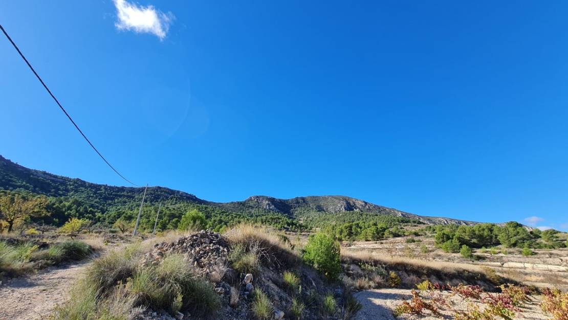 Venta - Land - La Romana - La Romana Centro