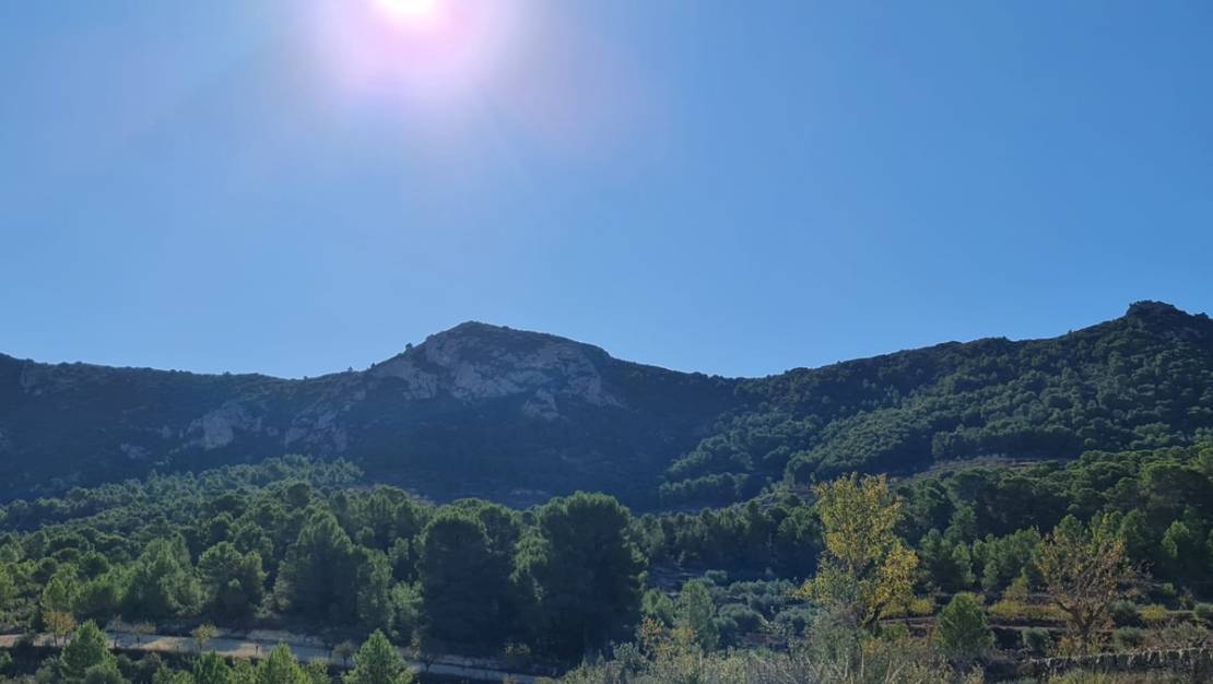 Venta - Land - La Romana - La Romana Centro