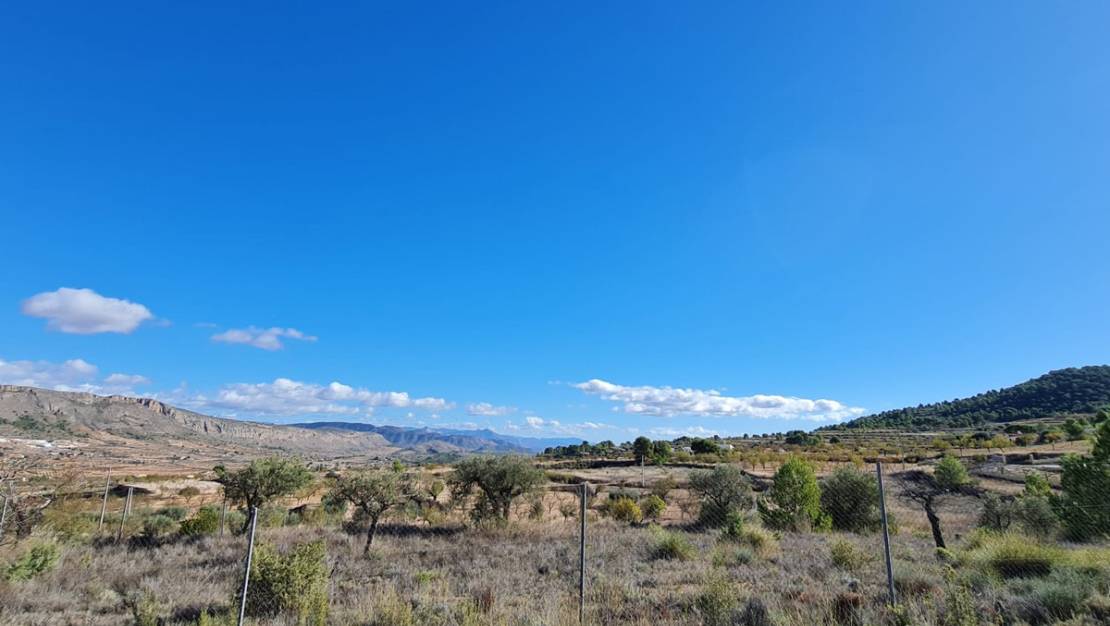 Venta - Land - La Romana - La Romana Centro