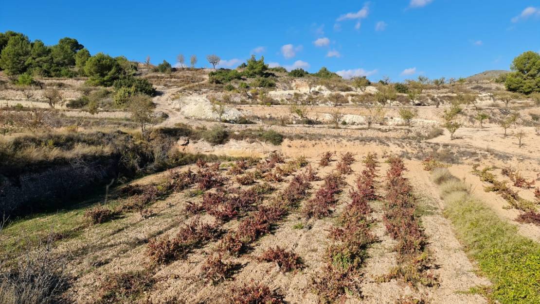 Venta - Land - La Romana - La Romana Centro