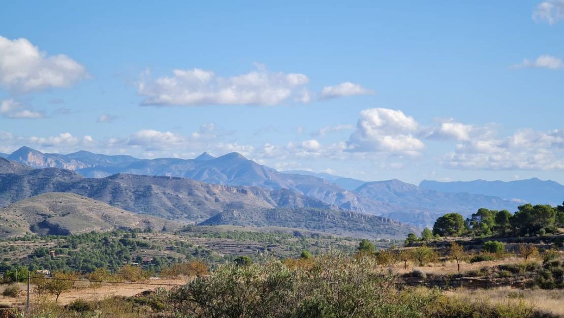 Venta - Land - La Romana - La Romana Centro