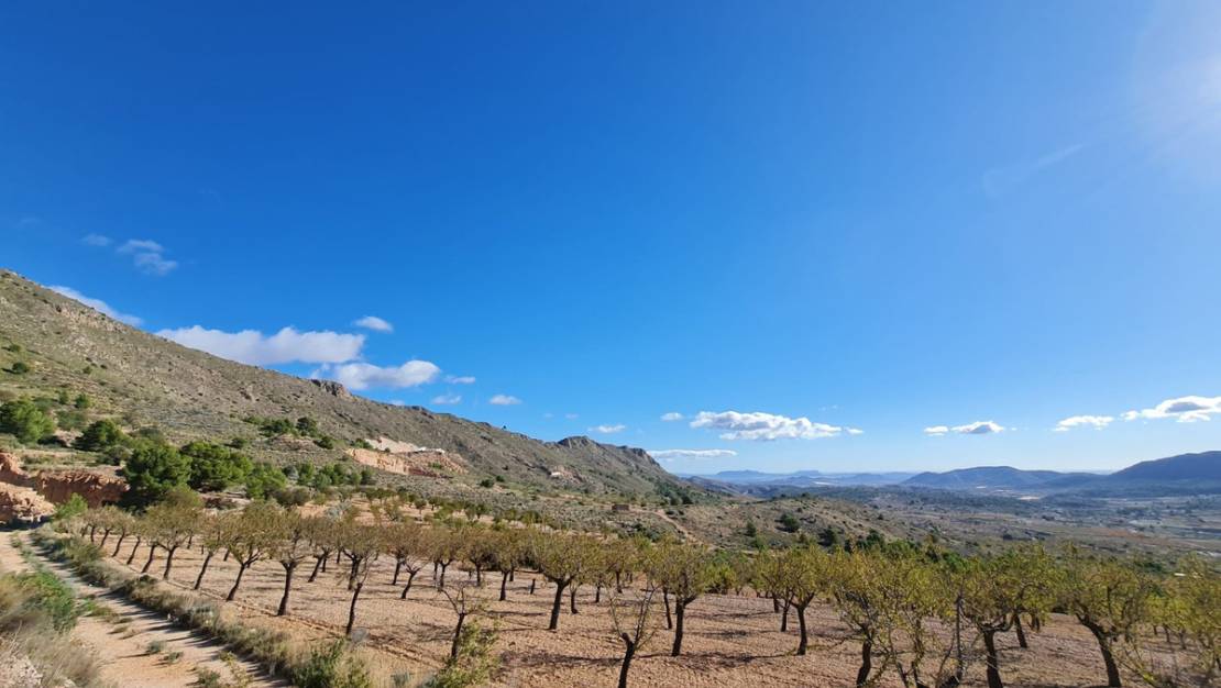 Venta - Land - La Romana - La Romana Centro