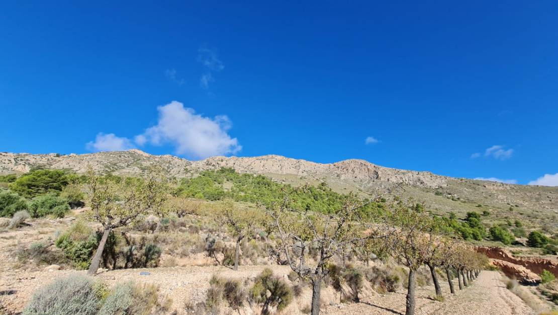 Venta - Land - La Romana - La Romana Centro