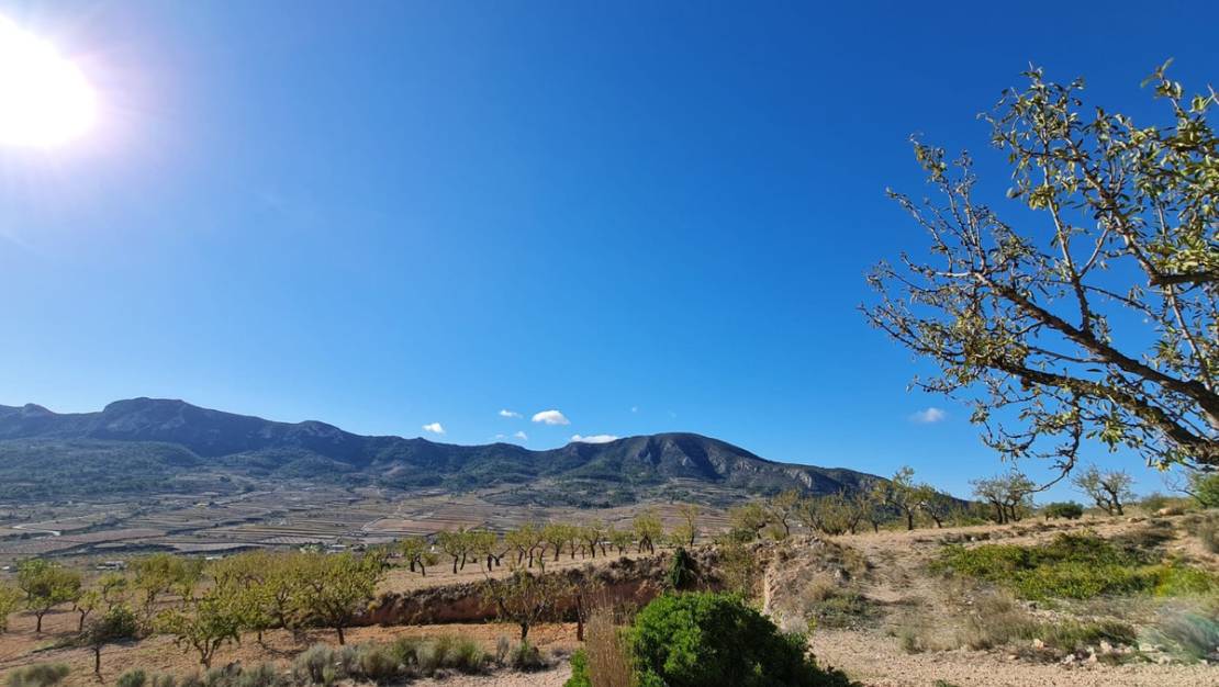 Venta - Land - La Romana - La Romana Centro