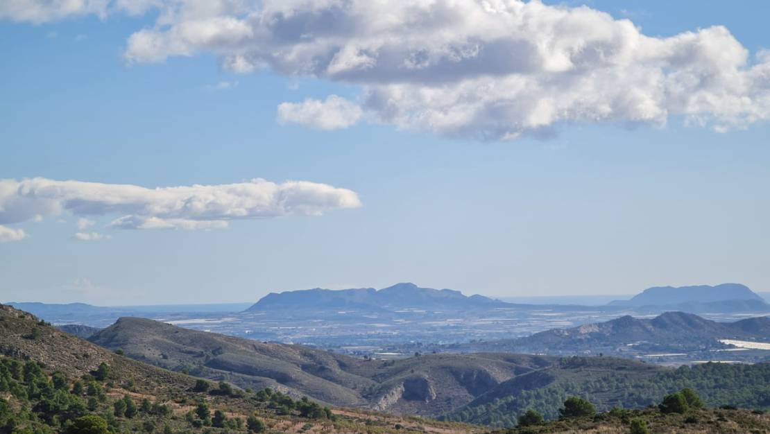 Venta - Land - La Romana - La Romana Centro