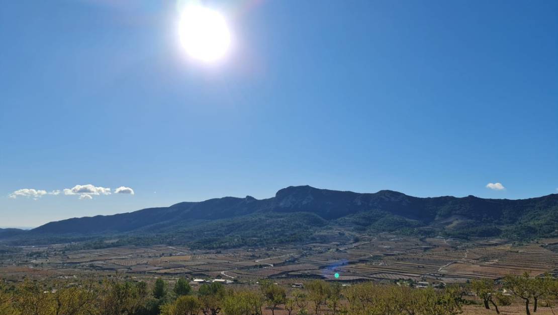 Venta - Land - La Romana - La Romana Centro