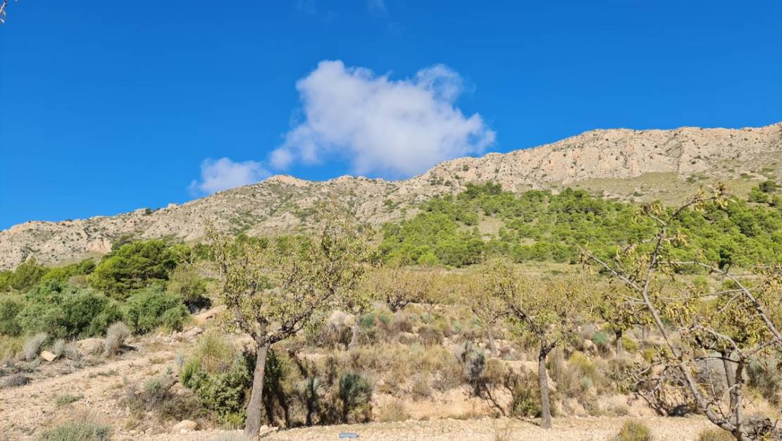 Venta - Land - La Romana - La Romana Centro