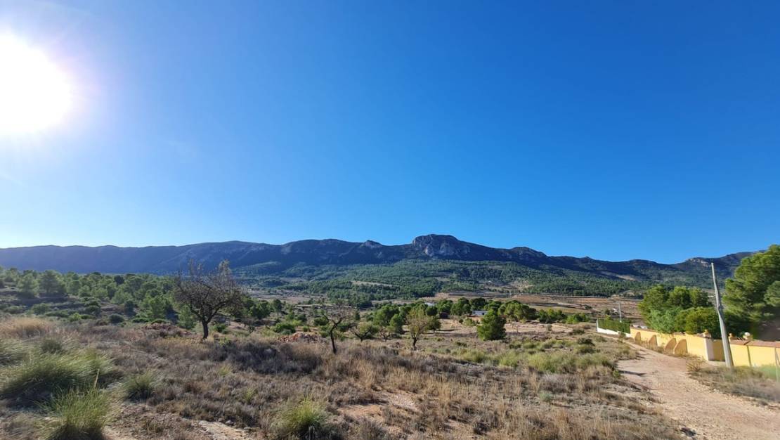 Venta - Land - La Romana - La Romana Centro