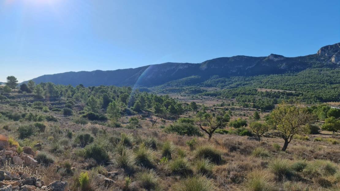 Venta - Land - La Romana - La Romana Centro