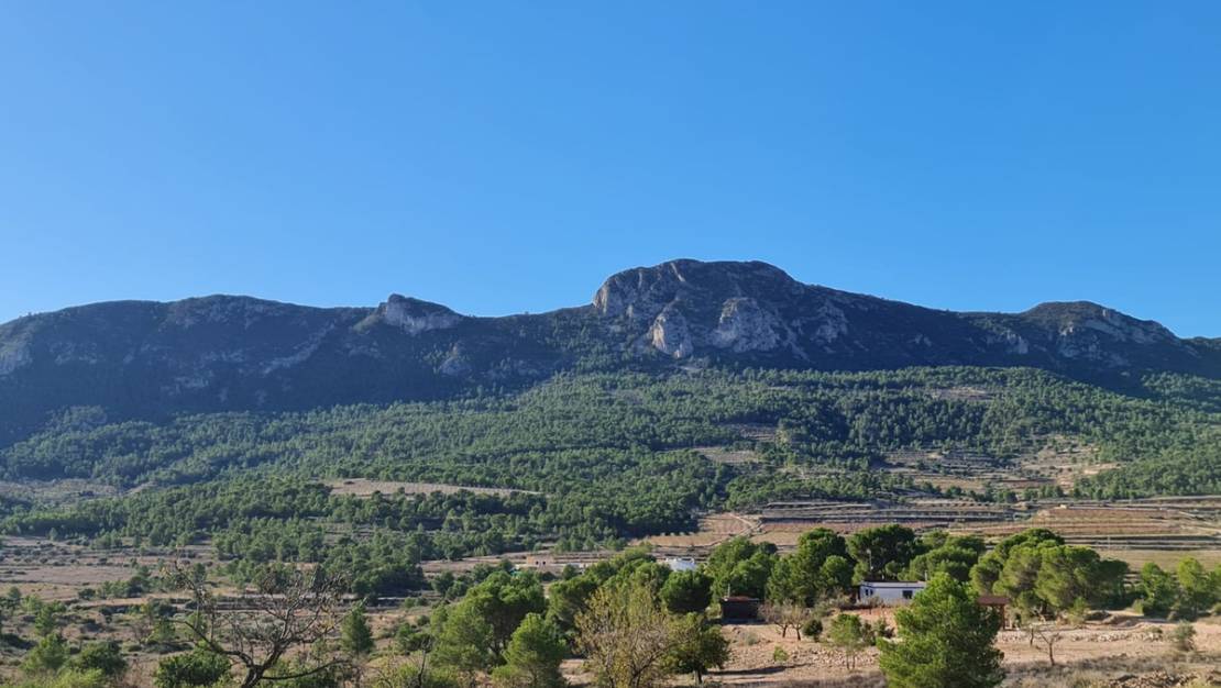 Venta - Land - La Romana - La Romana Centro