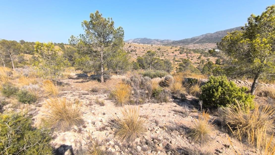 Venta - Land - La Romana - La Romana Centro