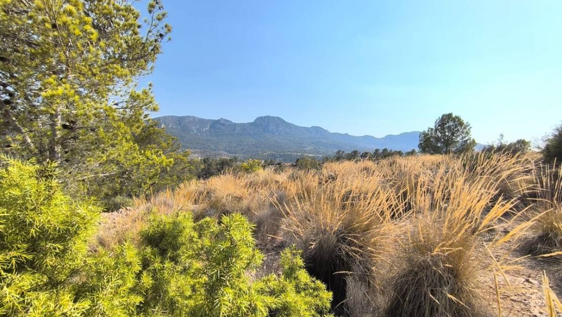 Venta - Land - La Romana - La Romana Centro