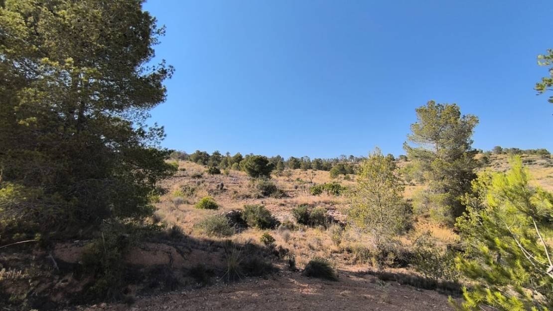 Venta - Land - La Romana - La Romana Centro