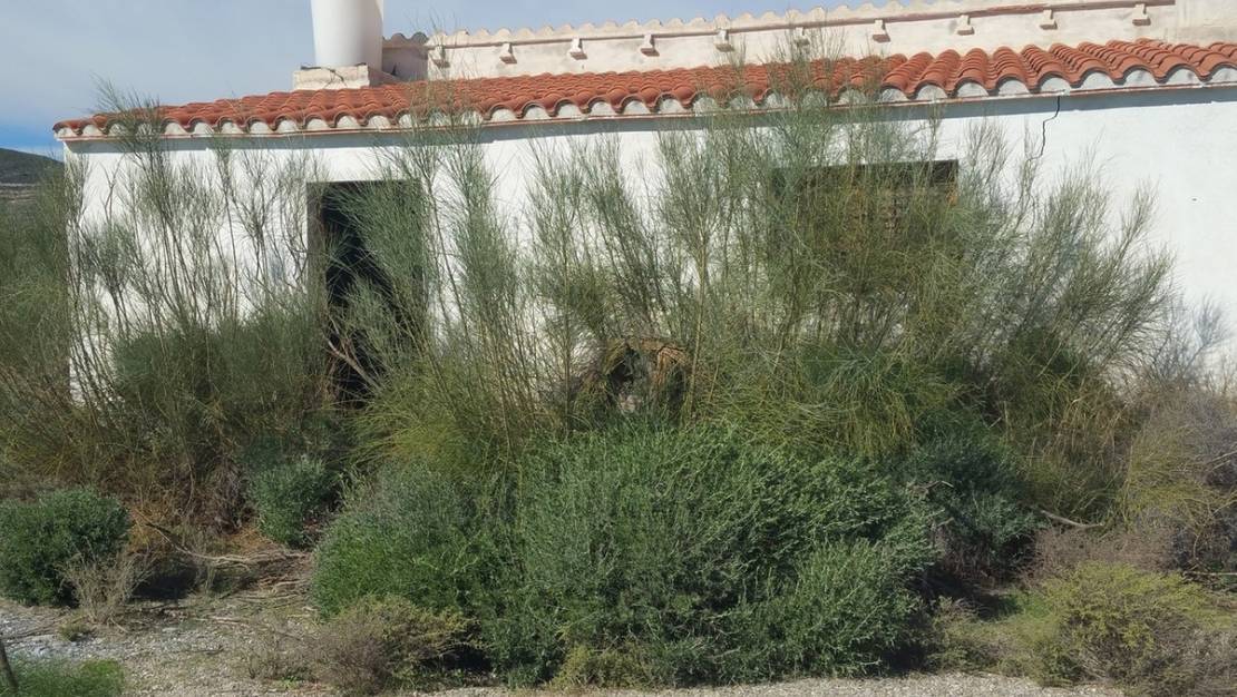 Venta - Land - Lorca - Lorca Centro