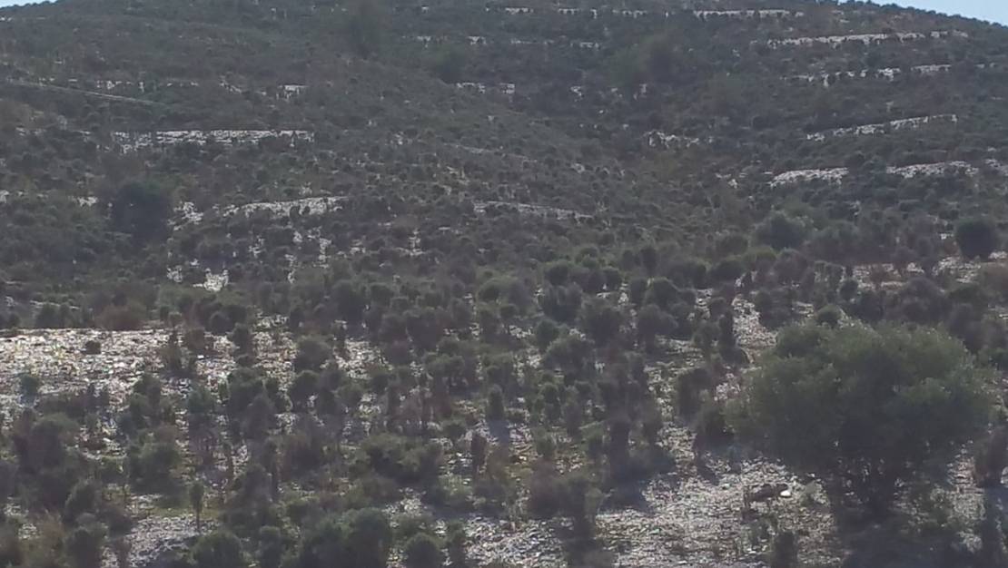 Venta - Land - Lorca - Lorca Centro