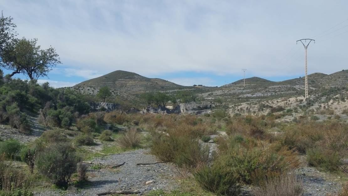 Venta - Land - Lorca - Lorca Centro