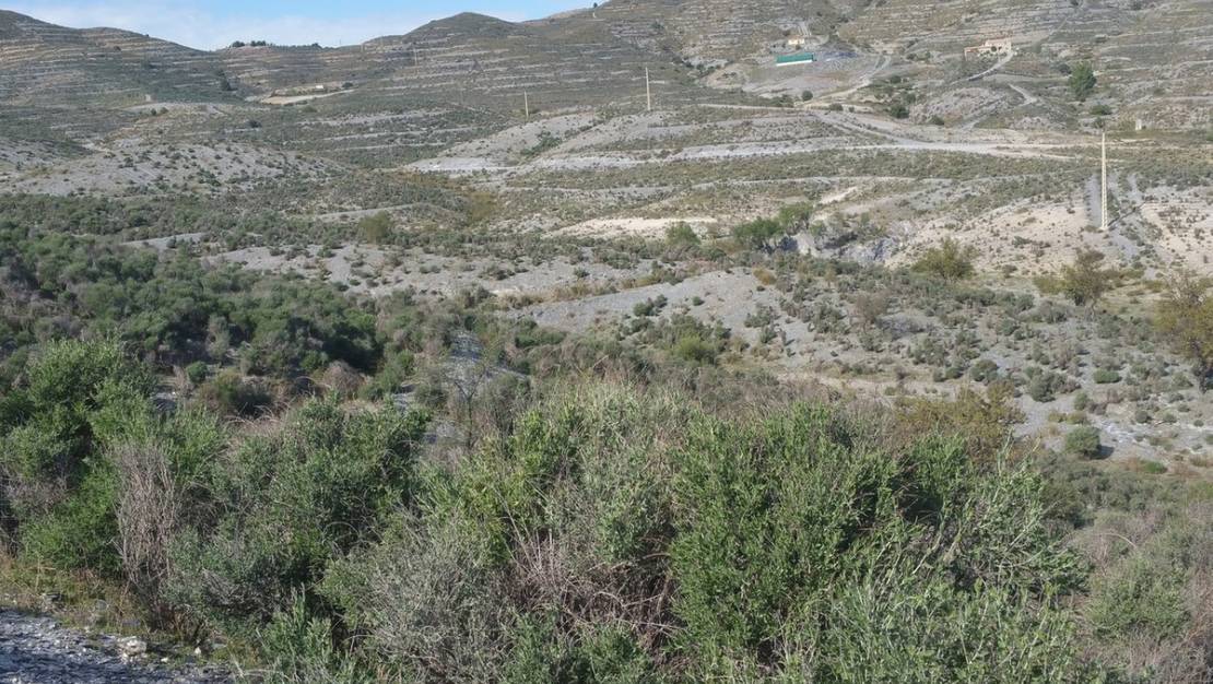 Venta - Land - Lorca - Lorca Centro