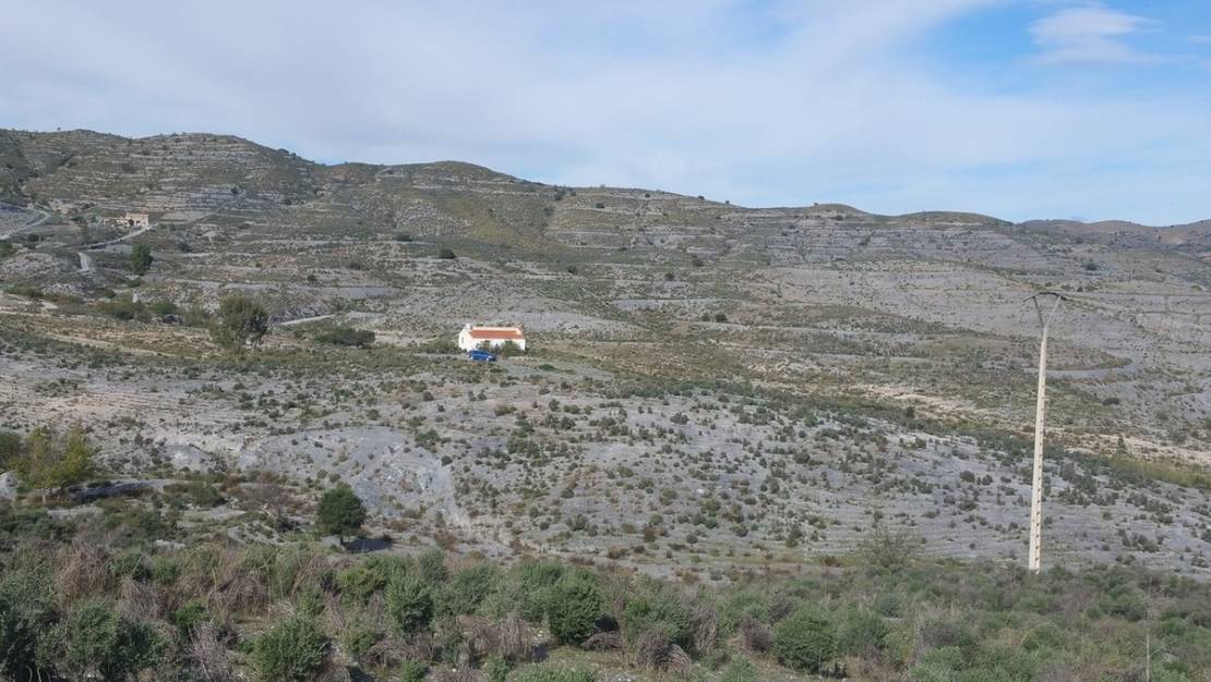 Venta - Land - Lorca - Lorca Centro