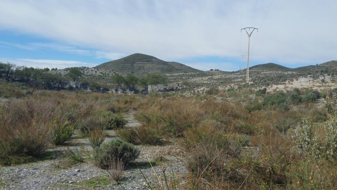 Venta - Land - Lorca - Lorca Centro
