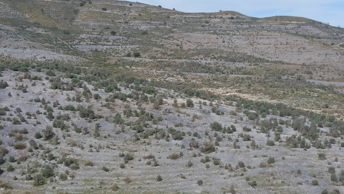 Venta - Land - Lorca - Lorca Centro