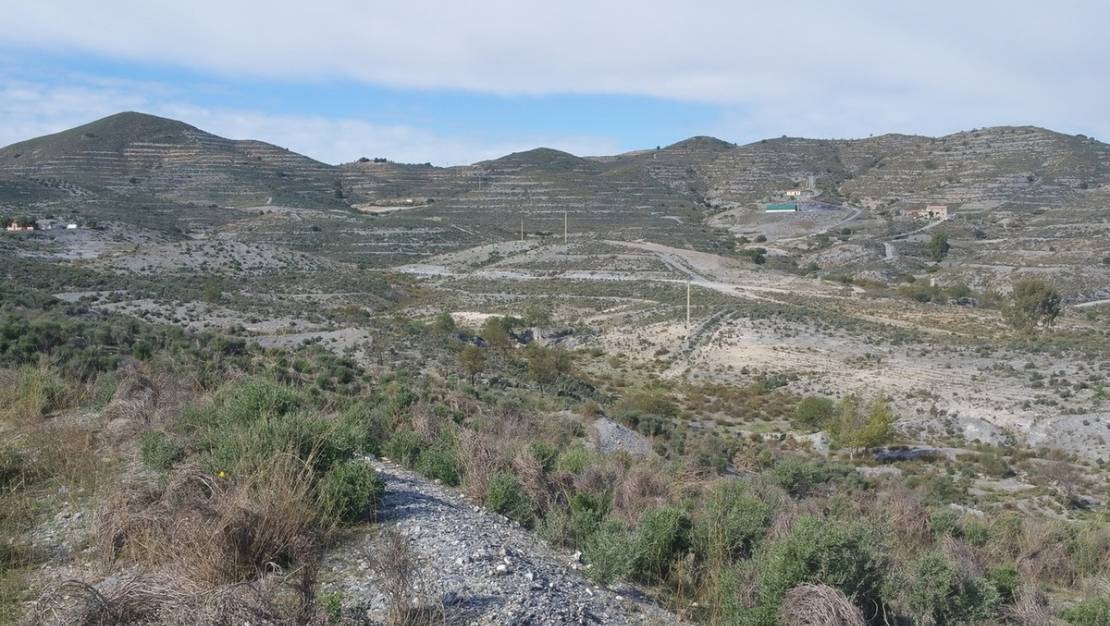 Venta - Land - Lorca - Lorca Centro