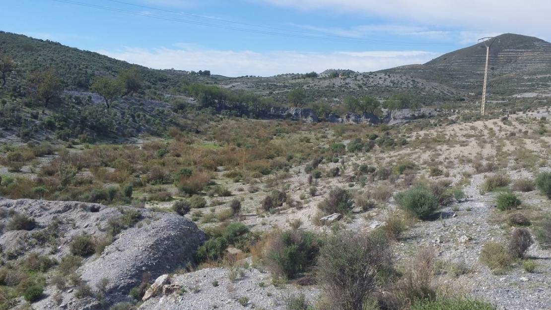 Venta - Land - Lorca - Lorca Centro