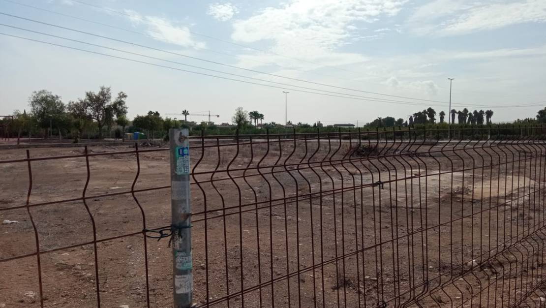Venta - Land - Los Montesinos - Los Montesinos Centro