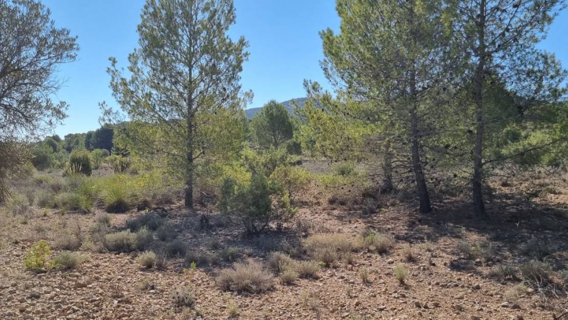 Venta - Land - Monóvar - Monòver - Casas del Señor